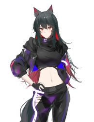 Rule 34 | 1girl, absurdres, ambience synesthesia, animal ears, arknights, black gloves, black hair, black jacket, black pants, black shirt, cowboy shot, crop top, gloves, hair between eyes, hand on own hip, highres, jacket, joshua (shisanli934), long hair, long sleeves, looking at viewer, midriff, navel, official alternate costume, open clothes, open jacket, pants, red eyes, shirt, simple background, solo, standing, stomach, texas (arknights), very long hair, white background, wolf ears