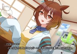 Rule 34 | 1girl, :d, agnes tachyon (umamusume), ahoge, animal ears, black necktie, black shirt, breasts, brown hair, coat, commentary request, cup, earrings, glowing liquid, hair between eyes, highres, holding, holding cup, holding teapot, horse ears, horse girl, indoors, jewelry, lab coat, looking at viewer, medium breasts, necktie, open clothes, open coat, open mouth, red eyes, shihone (xuz op), shirt, short necktie, single earring, sleeves past wrists, smile, solo, sweater, teacup, teapot, translation request, umamusume, white coat, yellow sweater