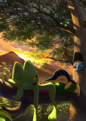 Rule 34 | animal focus, backlighting, black eyes, cloud, colored sclera, creatures (company), cyndaquil, closed eyes, forest, game freak, gen 2 pokemon, gen 3 pokemon, gen 4 pokemon, gen 7 pokemon, half-closed eye, highres, in tree, karamimame, legendary pokemon, looking at another, looking back, manaphy, mountain, mythical pokemon, nature, nintendo, no humans, one eye closed, orange sky, outdoors, pokemon, pokemon (creature), rowlet, sky, sleeping, sunrise, sweat, tree, treecko, yellow sclera