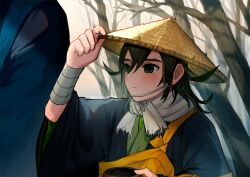 Rule 34 | 2boys, :|, adjusting clothes, adjusting headwear, aged down, ashiya douman (fate), bandaged arm, bandages, bare tree, black eyes, black hair, black robe, closed mouth, conical hat, expressionless, fate/grand order, fate (series), green kimono, hair between eyes, hat, japanese clothes, kesa, kimono, long sleeves, looking at another, male focus, medium hair, multiple boys, outdoors, rice hat, robe, solo focus, starrytree, tree, upper body, wide sleeves, yellow hat