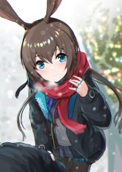 Rule 34 | 1girl, 1other, akabane hibame, amiya (arknights), animal ears, arknights, black jacket, black skirt, blue eyes, blurry, blurry background, breath, brown hair, christmas, christmas ornaments, christmas tree, closed mouth, commentary request, depth of field, doctor (arknights), fringe trim, grey shirt, hair between eyes, highres, jacket, jewelry, long hair, long sleeves, open clothes, open jacket, pantyhose, pleated skirt, puffy long sleeves, puffy sleeves, rabbit ears, red scarf, ring, scarf, shirt, skirt, sleeves past wrists, smile