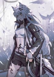 Rule 34 | 1girl, ahoge, animal, animal ears, arknights, belt, bird, black jacket, black nails, black shorts, breasts, building, cleavage, closed mouth, cowboy shot, ecrsin, fingerless gloves, gloves, grey gloves, grey hair, grey theme, hair between eyes, hair ornament, hairclip, highres, jacket, lappland (arknights), layered sleeves, long hair, long sleeves, looking away, midriff, motion blur, nail polish, open clothes, open jacket, outdoors, power lines, scales, scar, scar across eye, shards, short over long sleeves, short sleeves, shorts, smile, solo, strapless, sword, tail, tube top, weapon, wind, wolf ears, wolf girl, wolf tail, yellow eyes