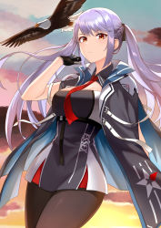 Rule 34 | 1girl, arm up, azur lane, bald eagle, bird, black cape, black dress, black gloves, black pantyhose, blush, braid, breasts, cape, character name, child (isoliya), closed mouth, clothes writing, cloud, cowboy shot, dress, eagle, essex (azur lane), french braid, gloves, gradient sky, highres, large breasts, long hair, necktie, outdoors, pantyhose, purple hair, red eyes, red necktie, sidelocks, sky, solo, swept bangs, twilight, twintails, underbust, very long hair