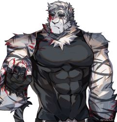 Rule 34 | 1boy, animal ears, arknights, bandaged hand, bandages, bara, bare arms, bare shoulders, black tank top, blood, blood on face, blood on hands, covered abs, covered navel, furry, furry male, graysheartart, highres, large pectorals, male focus, mountain (arknights), muscular, muscular male, pectorals, scar, scar across eye, scar on face, shirt, short hair, sleeveless, solo, tank top, taut clothes, taut shirt, tiger boy, tiger ears, upper body, white background, white fur, white hair
