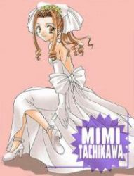 Rule 34 | digimon, digimon adventure, dress, high heels, long hair, lowres, ribbon, tachikawa mimi, wedding dress
