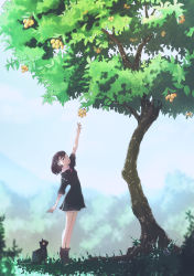 Rule 34 | 1girl, animal, arm up, black dress, blurry, boots, brown eyes, brown footwear, brown hair, bush, cat, day, depth of field, dress, food, fruit, grass, hair ornament, hairclip, kagawa yuusaku, looking up, original, outdoors, outstretched arm, reaching, reaching towards viewer, solo, standing, tiptoes, tree