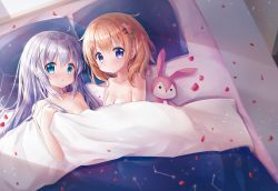 Rule 34 | 2girls, bedroom, blush, breasts, brown hair, cleavage, closed mouth, collarbone, flower, from above, gochuumon wa usagi desu ka?, grey hair, hair between eyes, hair flower, hair ornament, hoto cocoa, indoors, kafuu chino, long hair, looking at viewer, lying, mugenstudio, multiple girls, nude, on back, on bed, open mouth, petals, pillow, pink flower, purple eyes, small breasts, stuffed animal, stuffed rabbit, stuffed toy, under covers, x hair ornament, yuri