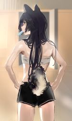 Rule 34 | 1girl, animal ears, arknights, bare arms, black hair, black shorts, blurry, blurry background, chest sarashi, commentary request, cowboy shot, dog ears, dog girl, dog tail, food, food in mouth, from behind, gawako, hands on own hips, highres, indoors, long hair, orange eyes, popsicle, profile, saga (arknights), sarashi, shorts, solo, sweat, tail