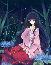 Rule 34 | 1girl, bamboo, bamboo forest, black hair, blue flower, branch, closed mouth, fantasy rainbow, flower, forest, frilled shirt collar, frilled sleeves, frills, hair between eyes, houraisan kaguya, jeweled branch of hourai, light smile, lily (flower), lily pad, long hair, long sleeves, looking at viewer, nature, partially submerged, pink shirt, red eyes, red skirt, shirt, skirt, sleeves past fingers, sleeves past wrists, solo, touhou, very long hair, wide sleeves