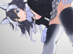 Rule 34 | 1girl, animal ear fluff, animal ears, blue eyes, blush, breasts, cleavage, fur collar, gloves, grey background, grey hair, grey wolf (kemono friends), heterochromia, highres, kemono friends, large breasts, looking at viewer, looking down, medium breasts, multicolored hair, necktie, open mouth, pandayk, panties, pantyshot, plaid necktie, plaid neckwear, simple background, solo, thighhighs, two-tone hair, two-tone legwear, underwear, white gloves, white hair, white panties, wolf ears, wolf girl, yellow eyes