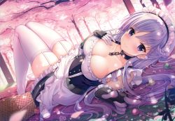 Rule 34 | 1girl, absurdres, arm guards, azur lane, bare shoulders, basket, belfast (azur lane), black choker, blanket, blush, braid, breasts, candy, chain, cherry blossoms, choker, cleavage, closed mouth, collarbone, corset, dappled sunlight, dress, elbow gloves, flower, food, french braid, frilled gloves, frilled skirt, frills, garter straps, gloves, hand on own chest, highres, huge filesize, knees up, large breasts, lollipop, long hair, looking at viewer, looking to the side, lying, maid, maid headdress, no shoes, on back, outdoors, petals, pink flower, scan, skirt, sleeveless, sleeveless dress, smile, solo, sousouman, sunlight, thighhighs, tree, white dress, white gloves, zettai ryouiki