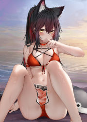 Rule 34 | 1girl, animal ear fluff, animal ears, arknights, arm strap, arm up, ass, bandaid, bandaid on leg, bare arms, bare shoulders, beach, belt, bikini, black hair, blush, breasts, choker, cleavage, colored inner hair, covering own mouth, extra ears, front-tie bikini top, front-tie top, hair between eyes, halterneck, highres, knees up, large breasts, long hair, looking at viewer, medium breasts, multicolored hair, nail polish, navel, orange eyes, ponytail, red bikini, red choker, red hair, red nails, ru zhai, sand, see-through, sidelocks, sitting, solo, stomach, streaked hair, string bikini, stuffed animal, stuffed shark, stuffed toy, swimsuit, texas (arknights), thighs, two-tone hair, water, wet, wolf ears, yellow eyes