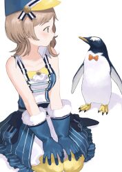 Rule 34 | 1 kozin, 1girl, absurdres, ascot, band uniform, bare shoulders, bird, blue dress, blue gloves, bow, bowtie, brooch, brown eyes, commentary request, dress, fur-trimmed gloves, fur trim, gloves, hands on own knees, hat, highres, idolmaster, idolmaster shiny colors, jewelry, light blush, light brown hair, looking at animal, looking to the side, low-cut, medium hair, official alternate costume, on ground, orange bow, orange bowtie, pantyhose, penguin, polka dot bowtie, profile, sakuragi mano, shako cap, sitting, sleeveless, sleeveless dress, solo, striped clothes, striped dress, v arms, vertical-striped clothes, vertical-striped dress, wariza, white ascot, white background, white dress, yellow pantyhose