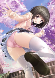 Rule 34 | 1girl, ass, black footwear, black hair, black skirt, brown eyes, cardigan, cherry blossoms, cherry tree, clothes lift, day, fat mons, haru kiss, highres, layered skirt, loafers, long sleeves, looking at viewer, marui (koedame), mtr16, outdoors, outstretched arm, panties, pink panties, school uniform, seto konomi, shoes, short hair, skirt, skirt lift, smile, solo, sweater, thighhighs, thighs, trefoil, underwear, white thighhighs