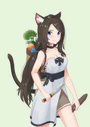 Rule 34 | absurdres, aina (mao lian), animal ear fluff, animal ears, backpack, bag, black hair, blue eyes, blush, breasts, cat ears, cat tail, choker, cleavage, collarbone, cowboy shot, dagger, dress, food, green background, highres, holding, holding weapon, knife, lifted by tail, looking at viewer, mao lian (nekokao), medium breasts, original, simple background, smile, solo, strapless, strapless dress, tail, twintails, weapon, white dress