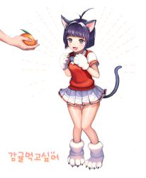 Rule 34 | 1girl, ahoge, animal ears, animal hands, bad id, bad pixiv id, black eyes, black hair, cat ears, cat tail, commission, elin, fang, food, fruit, gloves, hc (razel1), highres, miniskirt, open mouth, orange (fruit), paw gloves, paw shoes, red sweater, religious offering, school uniform, shirt, shoes, short hair, simple background, skirt, smile, sweater, sweater vest, tail, tera online, white background, white shirt, white skirt