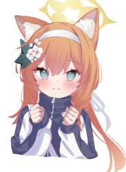 Rule 34 | 1girl, animal ear fluff, animal ears, aqua eyes, blue archive, blush, clenched hands, closed mouth, eip (pepai), flower, hair between eyes, hair flower, hair ornament, hairband, halo, jacket, long hair, long sleeves, looking at viewer, mari (blue archive), mari (track) (blue archive), multicolored clothes, multicolored jacket, official alternate costume, orange hair, sidelocks, simple background, smile, solo, sportswear, two-tone jacket, upper body, very long hair, white background, white flower, white hairband