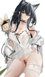 Rule 34 | 1girl, absurdres, animal ear fluff, animal ears, arknights, bar censor, black choker, black hair, censored, choker, cleft of venus, female pubic hair, hair between eyes, highres, long hair, long sleeves, looking at viewer, parted lips, pubic hair, pussy, pussy juice, sabou san-shitsu kokoro, texas (arknights), thigh strap, white background, wolf ears, wolf girl, yellow eyes