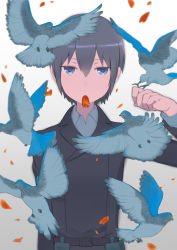 Rule 34 | 1girl, absurdres, androgynous, animal, arm up, belt, belt pouch, bird, black hair, black jacket, blue eyes, collared jacket, collared shirt, dot nose, expressionless, gradient background, grey background, grey shirt, hair between eyes, highres, jacket, kino (kino no tabi), kino no tabi, long sleeves, looking at viewer, mouth hold, petals, pigeon, pouch, shirt, shirt under jacket, short hair, simple background, solo, tomboy, upper body, white background, yoru-ya