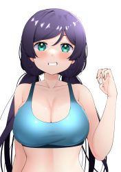 Rule 34 | 1girl, aqua eyes, bare shoulders, blue bra, blush, bra, breasts, claw pose, cleavage, grin, highres, kooei, large breasts, long hair, looking at viewer, love live!, love live! school idol project, low twintails, navel, parted bangs, purple hair, simple background, smile, solo, sports bra, swept bangs, tojo nozomi, twintails, underwear, upper body, white background