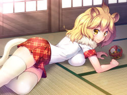 Rule 34 | 10s, 1girl, animal ears, bad id, bad pixiv id, ball, blonde hair, blush, breasts, fur collar, indoors, kemono friends, large breasts, lion (kemono friends), lion ears, lion tail, looking at viewer, lying, plaid, plaid skirt, shirt, short sleeves, skirt, sliding doors, smile, solo, sunlight, tail, thighhighs, totokichi, white shirt, white thighhighs, wooden floor, yellow eyes