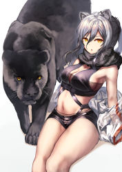 Rule 34 | 1girl, absurdres, animal, animal ear fluff, animal ears, arknights, bare shoulders, black scarf, black shorts, breasts, cat ears, commentary, crop top, hair between eyes, highres, huge filesize, long hair, looking at viewer, medium breasts, midriff, navel, panther, parted lips, scarf, schwarz (arknights), short shorts, shorts, silver hair, simple background, sitting, stomach, taku57, thighs, white background, yellow eyes