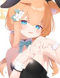 Rule 34 | 1girl, animal ear fluff, animal ears, aoitsuki, bare arms, bare shoulders, black choker, black leotard, blue archive, blue bow, blue bowtie, blue eyes, blush, bow, bowtie, breasts, cat ears, choker, detached collar, fake animal ears, flower, hair flower, hair ornament, halo, hands up, heart, heart hands, highres, leotard, long hair, looking at viewer, mari (blue archive), open mouth, orange hair, playboy bunny, rabbit ears, simple background, small breasts, solo, sweat, twintails, upper body, wavy hair, white background, wrist cuffs