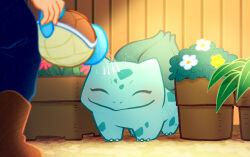 Rule 34 | 1other, blue pants, brown footwear, bulbasaur, claws, closed eyes, closed mouth, creatures (company), flower, flower pot, game freak, gen 1 pokemon, holding, holding watering can, nintendo, nostrils, out of frame, pants, pink flower, pokemon, pokemon (creature), sakurasasou, smile, squirtle, watering, watering can, white flower, yellow flower