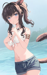 Rule 34 | 1girl, animal ear fluff, animal ears, bare arms, bare shoulders, blue eyes, blue shorts, breasts, brown hair, cat ears, cat girl, cat tail, cleavage, commentary request, cowboy shot, day, final fantasy, final fantasy xiv, front-tie top, hair between eyes, hands up, highres, kanora, long hair, looking at viewer, miqo&#039;te, navel, outdoors, parted lips, ponytail, short shorts, shorts, sidelocks, small breasts, solo, tail, thank you, warrior of light (ff14), water