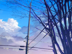 Rule 34 | cloud, day, fo~do, no humans, original, power lines, scenery, sky, tree