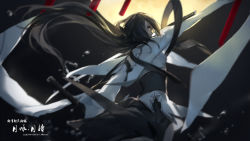 Rule 34 | 1girl, back, black hair, blue eyes, highres, holding, holding sword, holding weapon, katana, long hair, looking at viewer, pixiv fantasia, pixiv fantasia t, sheath, solo, swd3e2, sword, weapon