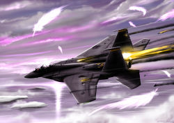 Rule 34 | ace combat, ace combat 6, aircraft, airplane, commentary, crushing, damaged, dying, f-15, f-15 eagle, feathers, fighter jet, fire, flying, highres, jet, military, military vehicle, no humans, pilot, spoilers, vehicle focus, zephyr164