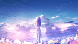 Rule 34 | 1girl, absurdres, amenomori howa, backlighting, blurry, bow, cart, cat, cloud, cloudy sky, contrail, depth of field, dress, dress bow, flower, from behind, highres, hill, holding, holding flower, light, light particles, long hair, original, petals, scenery, sky, solo, sunlight, white dress