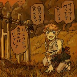 Rule 34 | 1boy, bad id, bad pixiv id, bandaged arm, bandages, barefoot, forest, full body, kneeling, link, lowres, male focus, nature, nintendo, outdoors, pointy ears, short sleeves, sign, solo, text focus, the legend of zelda, the legend of zelda: twilight princess, tobacco (tabakokobata), toes, tree, tunic