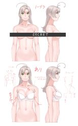 Rule 34 | 1girl, absurdres, bad id, bad twitter id, bra, breasts, censored, chart, commentary request, green eyes, grey hair, highres, kantai collection, kinugasa (kancolle), medium breasts, medium hair, multiple views, ojipon, one side up, out-of-frame censoring, profile, simple background, translation request, underwear, upper body, white background, white bra