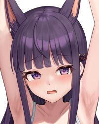 Rule 34 | 1girl, animal ear fluff, animal ears, armpits, arms up, bare arms, blunt bangs, blush, collarbone, commission, dog ears, dog girl, embarrassed, extra ears, kasumi (princess connect!), long hair, open mouth, portrait, princess connect!, purple eyes, purple hair, px-tea, sidelocks, skeb commission, solo, straight hair