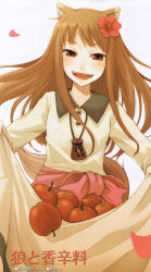 Rule 34 | 00s, 1girl, animal ears, apple, ayakura juu, brown hair, flower, food, fruit, hair flower, hair ornament, hibiscus, holo, long hair, open mouth, pouch, red eyes, skirt basket, smile, solo, spice and wolf, wolf ears