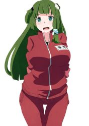 Rule 34 | 1girl, arms behind back, frog hair ornament, green eyes, green hair, gym uniform, hair ornament, jersey, kochiya sanae, long hair, matching hair/eyes, open mouth, simple background, snake hair ornament, solo, torso (hjk098), touhou, track suit, white background