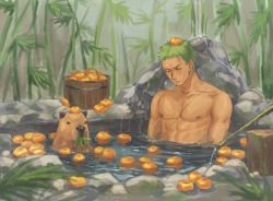 Rule 34 | 1boy, abs, animal, bamboo, bathing, bucket, capybara, closed eyes, closed mouth, earrings, food, fruit, green hair, highres, jewelry, leaf, male focus, nipples, nose bubble, nude, one piece, orange (fruit), pectorals, roronoa zoro, scar, scar across eye, scar on chest, scar on face, short hair, sleeping, sonich, water