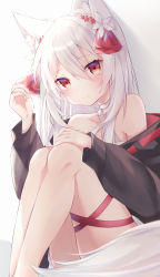 Rule 34 | 1girl, animal ear fluff, animal ears, bare shoulders, black jacket, blush, closed mouth, criss-cross halter, flower, hair flower, hair ornament, halterneck, highres, hood, hooded jacket, jacket, knees to chest, knees up, looking at viewer, off shoulder, original, red eyes, ringouulu, simple background, sitting, solo, strap slip, tail, white background, white hair