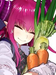 Rule 34 | 10s, 1girl, ^ ^, bad id, bad twitter id, black bow, bow, bowtie, bun cover, carrot, close-up, closed eyes, daikon, elizabeth bathory (fate), elizabeth bathory (fate/extra ccc), eyebrows, fate/extra, fate/extra ccc, fate (series), frills, gothic lolita, hair ribbon, horns, hugging object, lolita fashion, long hair, official art, pink hair, pointy ears, radish, ribbon, simple background, smile, solo, spring onion, two side up, upper body, wada arco, white background, wince