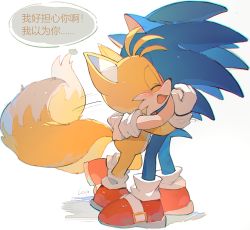 Rule 34 | 2boys, absurdres, animal ears, blue fur, c52278, chinese commentary, commentary request, fox boy, fox ears, fox tail, furry, furry male, gloves, hands on another&#039;s head, hedgehog ears, highres, hug, male focus, multiple boys, simple background, smile, sonic (series), sonic the hedgehog, tail, tails (sonic), tearing up, teeth, translation request, white background, white gloves, yellow fur