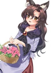 Rule 34 | 1girl, absurdres, animal ear fluff, animal ears, basket, blue dress, blush, brooch, brown hair, collarbone, dress, dutch angle, flower basket, gem, gunnjou yosio, highres, holding, holding basket, imaizumi kagerou, jewelry, long hair, long sleeves, looking at viewer, open mouth, red gemstone, solo, touhou, wavy hair, white background, wolf ears, yellow eyes