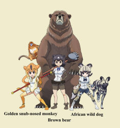Rule 34 | 3girls, african wild dog, african wild dog (kemono friends), african wild dog print, animal ears, bear, bear ears, beige background, bike shorts under skirt, black eyes, black hair, black skirt, blue shorts, bob cut, boots, brown bear (kemono friends), brown footwear, brown shorts, clenched hands, closed mouth, commentary request, creature and personification, cutoffs, dog ears, dog tail, english text, fighting stance, frown, golden snub-nosed monkey, golden snub-nosed monkey (kemono friends), hand on own hip, highres, holding, holding pole, holding weapon, kemono friends, layered sleeves, leotard, long sleeves, looking at viewer, miniskirt, monkey tail, multiple girls, name connection, open mouth, orange footwear, orange hair, orange legwear, over shoulder, paw stick, pleated skirt, pole, print legwear, shirt, shoes, short hair, short over long sleeves, short sleeves, shorts, silver hair, simple background, skirt, sleeveless, smile, standing, tail, thighhighs, weapon, white footwear, white leotard, white shirt, yamaguchi yoshimi