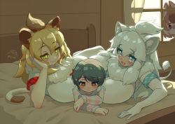 Rule 34 | 4girls, @ @, alternate breast size, animal ears, arm support, asymmetrical docking, bare arms, bed, between breasts, black eyes, black hair, blonde hair, blue eyes, blush, breast press, breasts, brown hair, captain (kemono friends), cat girl, closed mouth, commentary request, curtains, day, dhole (kemono friends), dog ears, elbow gloves, elbow rest, empty eyes, fang, fur collar, gloves, green eyes, hair between eyes, hand on own cheek, hand on own face, head rest, height difference, highres, huge breasts, indoors, jewelry, kemono friends, kemono friends 3, lion (kemono friends), lion ears, lion girl, lion tail, long hair, long sleeves, looking at another, looking down, lying, medium hair, miji doujing daile, multicolored hair, multiple girls, necklace, on bed, on side, on stomach, open mouth, red eyes, shirt, short hair, short sleeves, side ponytail, slit pupils, smile, smug, sweater, tail, trembling, white hair, white lion (kemono friends), window