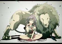 Rule 34 | 10s, 1girl, animal, grey background, head tilt, indian style, kantai collection, letterboxed, lion, looking at viewer, mane, navel, neckerchief, paw pose, pink hair, purple eyes, salve (8947279), school uniform, shadow, short hair, shorts, sitting, tama (kancolle), tongue, tongue out