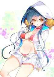 Rule 34 | 1girl, bikini, blue hair, breasts, brown eyes, choker, closed mouth, collarbone, commentary request, covered erect nipples, flower knight girl, fujishima-sei ichi-gou, groin, hair between eyes, hair ornament, hand up, heart, highres, hood, hood up, hooded jacket, jacket, long hair, long sleeves, looking at viewer, medium breasts, navel, open clothes, open fly, open shorts, red bikini, red choker, shamusakuraran (flower knight girl), short shorts, shorts, sidelocks, sleeves past wrists, solo, swimsuit, very long hair, white jacket, white shorts