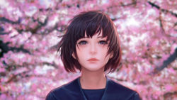 Rule 34 | 1girl, blue sailor collar, bob cut, brown hair, cherry blossoms, closed mouth, commentary request, kakotomirai, lips, looking at viewer, nose, original, purple eyes, sailor collar, short hair, solo, tree, upper body