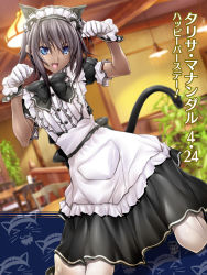 Rule 34 | 1girl, alternate costume, animal ears, apron, blue eyes, brown hair, cat ears, cat tail, check translation, dark-skinned female, dark skin, dutch angle, enmaided, eyes visible through hair, fang, frills, happy birthday, indoors, kneeling, looking at viewer, maid, maid apron, maid headdress, muv-luv, muv-luv alternative, muv-luv total eclipse, official art, open mouth, paw pose, puffy sleeves, ribbon, short hair, short sleeves, solo, soyosoyo, tail, tarisa manandal, text focus, thighhighs, translation request, white thighhighs, wrist cuffs