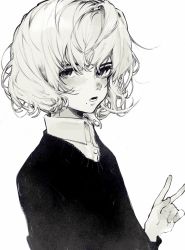 Rule 34 | 1girl, bad id, bad twitter id, commentary, daruma owl, freckles, greyscale, hair between eyes, hand up, highres, looking at viewer, monochrome, original, shirt under sweater, simple background, solo, symbol-only commentary, v, white background, wing collar